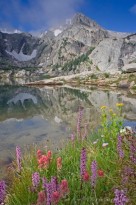bluebird lake, flowers, fog, reflection